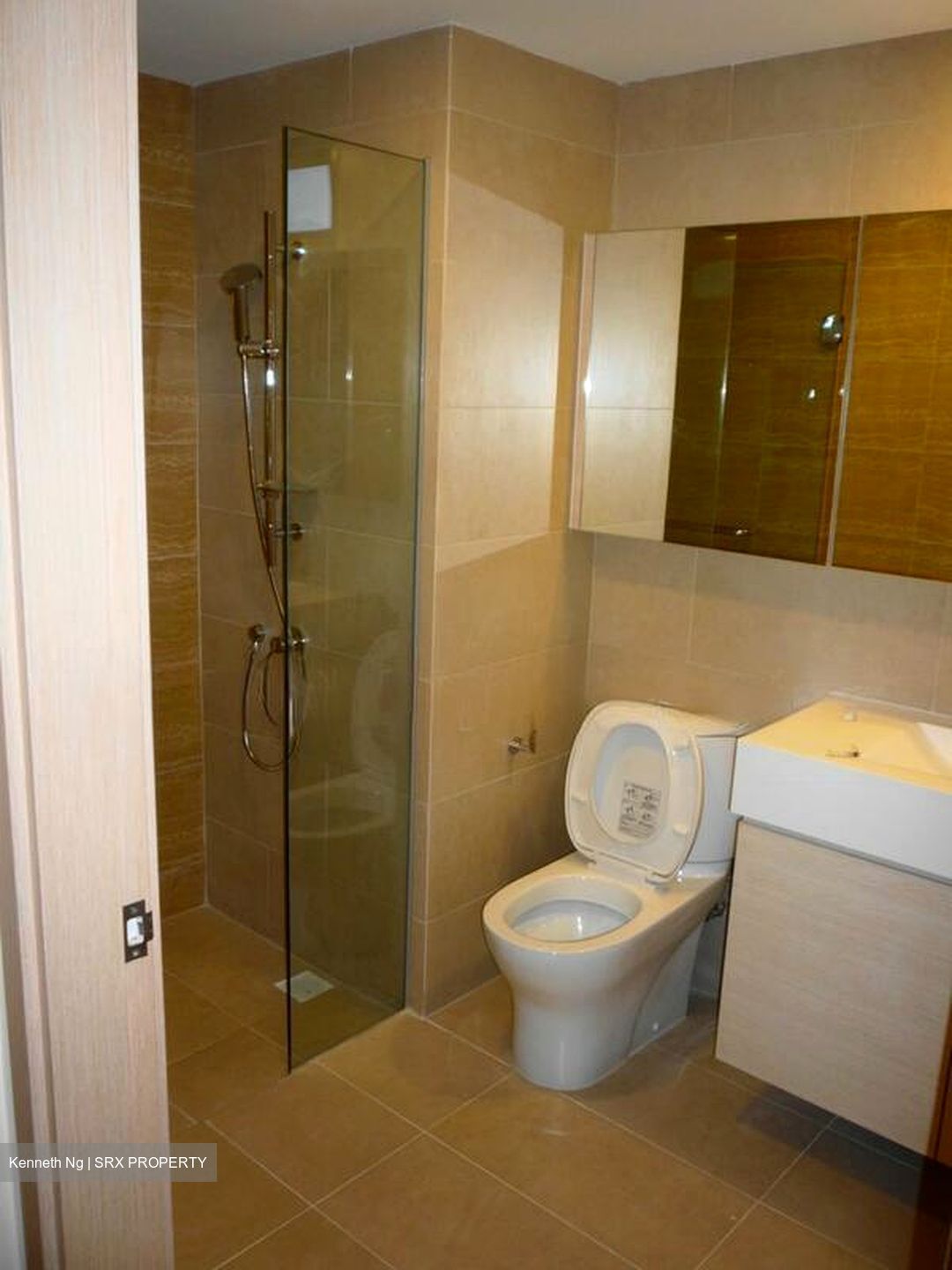 A Treasure Trove (D19), Condominium #502318781